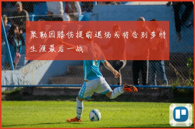 聚勒因膝伤提前退场或将告别多特生涯最后一战