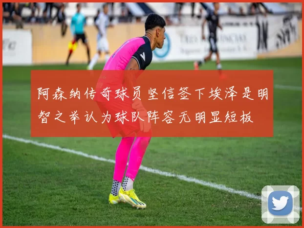 阿森纳传奇球员坚信签下埃泽是明智之举认为球队阵容无明显短板