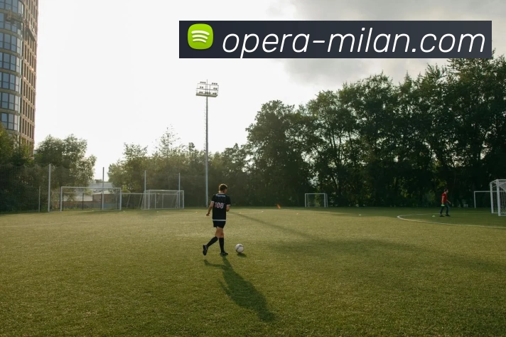 米兰体育平台生态图